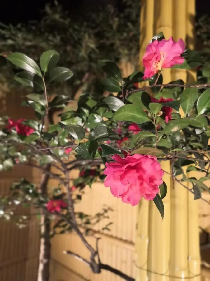 東寺楽屋 Toji Rakuya Villa Kyoto Holiday home